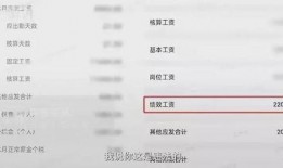 辛巴公司职工爆料视频,揭秘员工真实工作状况
