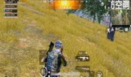 主播爆料和平精英游戏视频,和平精英游戏幕后精彩瞬间