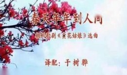 年年 在线观看,穿越时光的浪漫邂逅